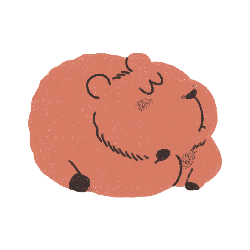 Encounter animal friends