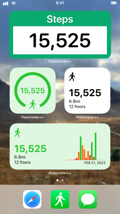 Pedometer++ widgets