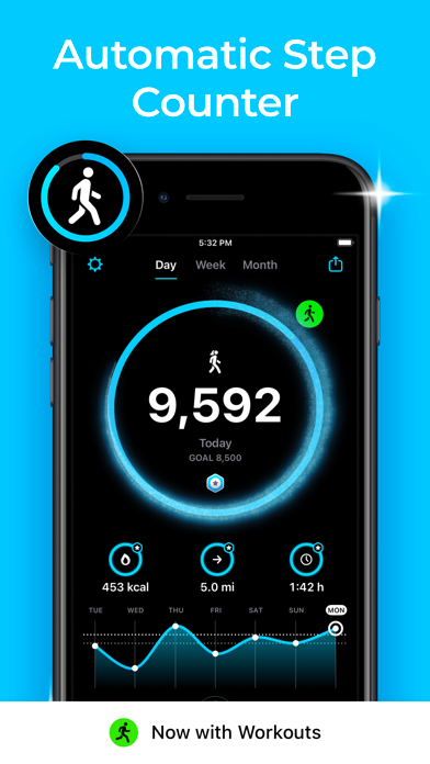StepsApp dashboard